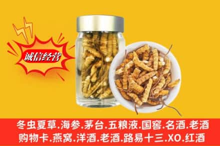 喀喇沁县回收散虫草