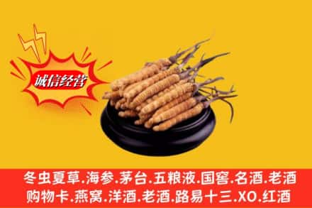 喀喇沁县名酒回收冬虫夏草.jpg